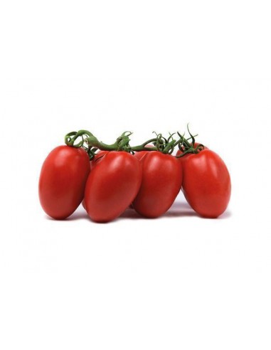pomodoro nano