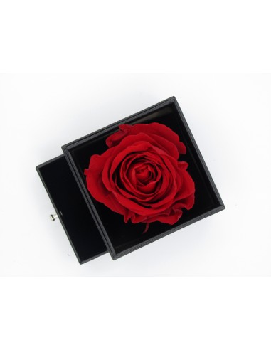Rosa Eterna in Box Regalo