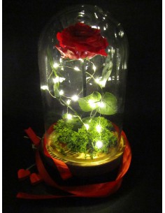 rosa eterna la bella e la bestia