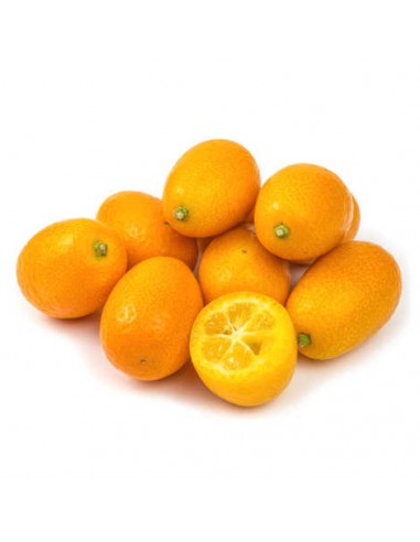 Pianta di Kumquat