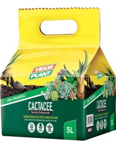 terriccio per piante grasse