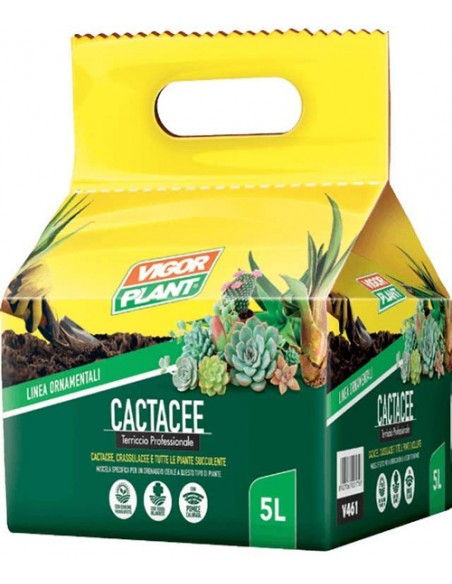 terriccio per piante grasse