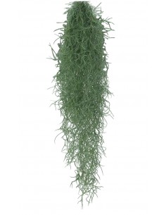 Tillandsia Usneoides (grigio)