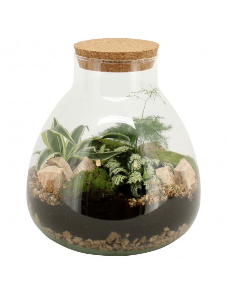 Terrarium Lab L