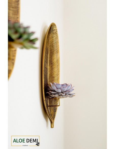 Decorazione da Parete con Piante