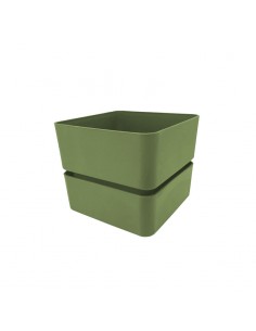 Vaso Veleta Olive| Teraplast