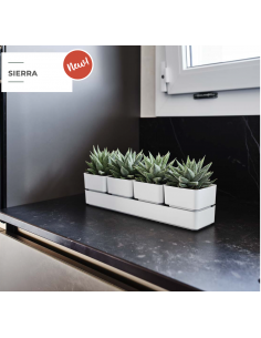 Cassetta Sierra Snow| Teraplast