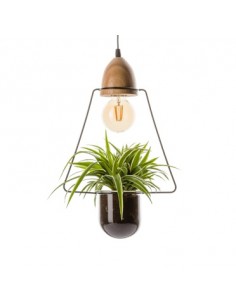Lampada a sospensione con pianta verde