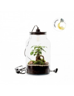 Terrarium con lampada a led