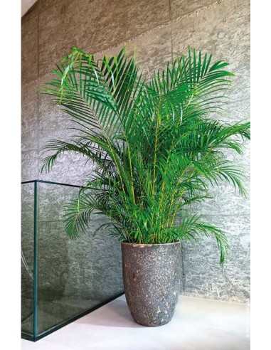 Vaso alto Stromboli Deroma  cm 54