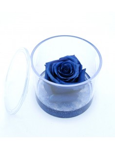 Rosa Eterna Blù in Box di Plexiglass Trasparente