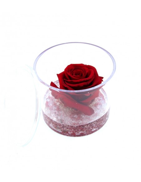 Rosa rossa Eterna Stabilizzata in Box di Plexiglass Trasparente
