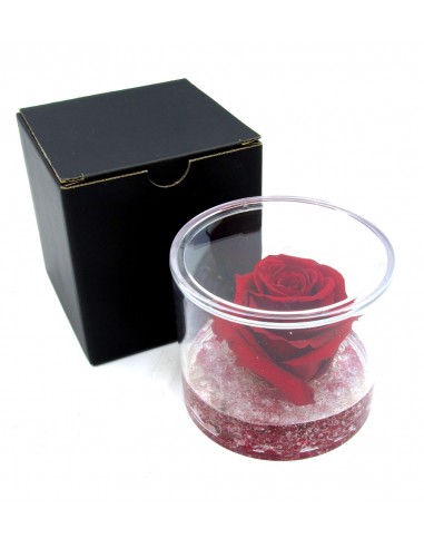 Rosa Eterna Rossa in Box di Plexiglass Trasparente Rose eterne fiori  stabilizzati