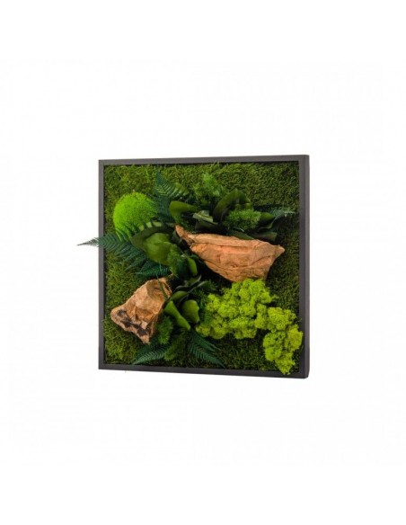 Quadro muschio stabilizzato e piante  35x35