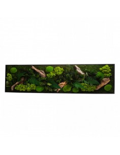 Quadro Vegetale con piante e muschio stabilizzato 115X25
