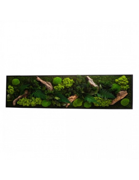 Quadro Vegetale con piante e muschio stabilizzato 115X25