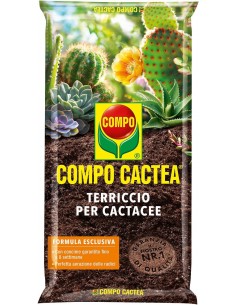 COMPO SANA® Terriccio per Cactacee 2.5Lt