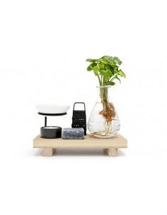 Idroponica WELLNESS