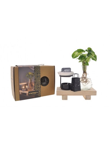 Set Idroponica Welness