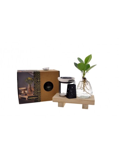 Set Idroponica Welness