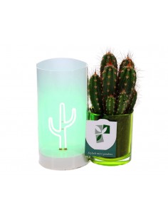Cactus led