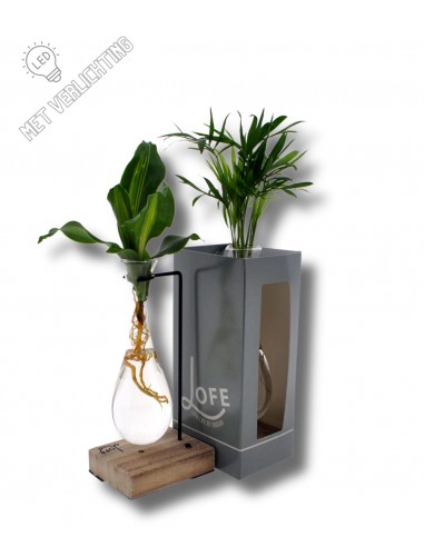 Idroponica goccia sospesa base legno luce led