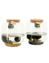 Marimo alga palla