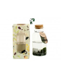 Marimo Lab S