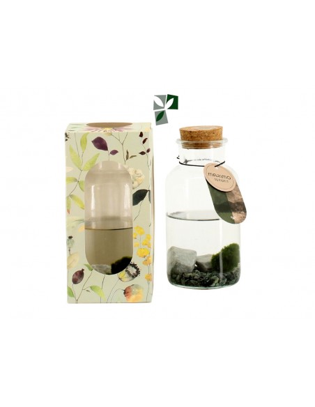 Marimo Lab S