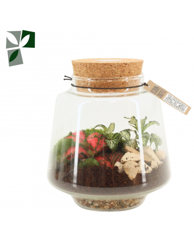 Terrarium gomes