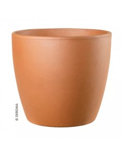 Deroma Egg White garden