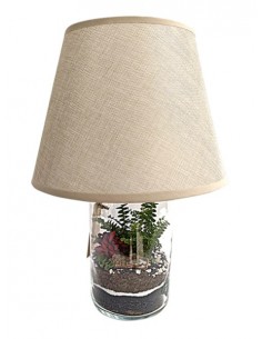 Lamparium | Terrarium con paralume