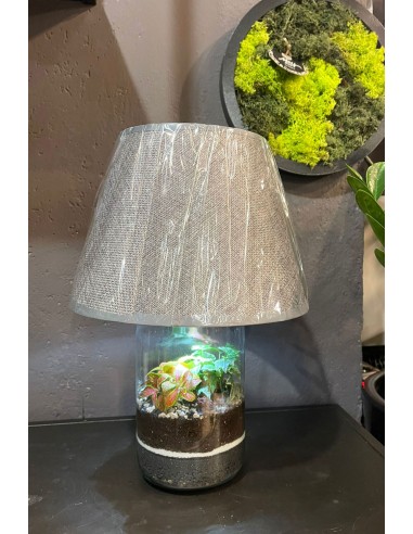Lamparium | Terrarium con paralume