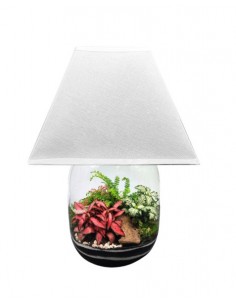 Lamparium | Terrarium
