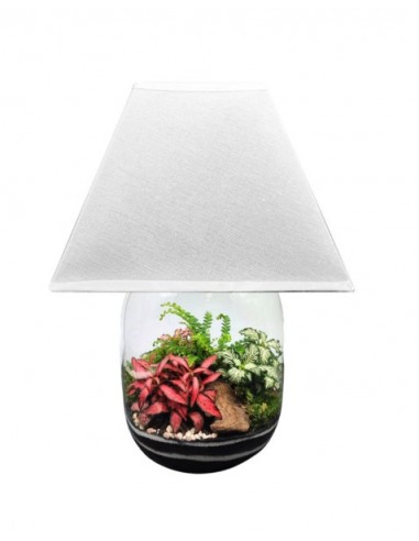 Lamparium | Terrarium