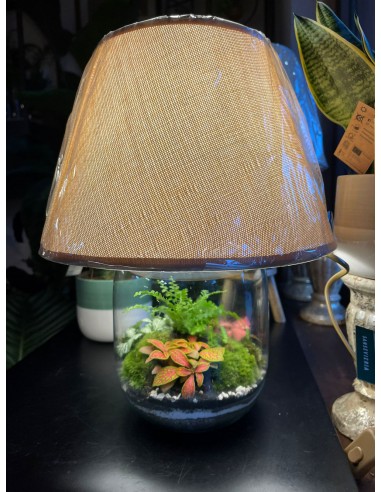 Lamparium | Terrarium