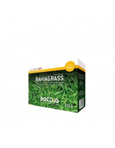 Semi di Bahia Grass Bottos