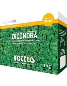 Semi di Dicondra repens Bottos