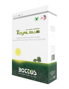 Semi Royal Blue Bottos