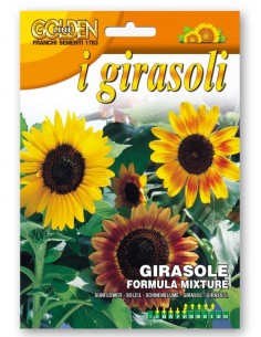 Semi di Girasole alto Franchi