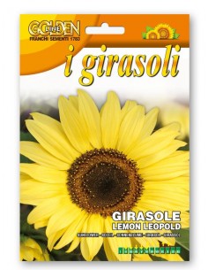 Semi di Girasole Lemon Leopold Franchi