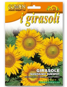 Semi di Girasole nanissimo Sunsport Franchi