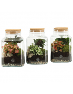 Terrarium Block