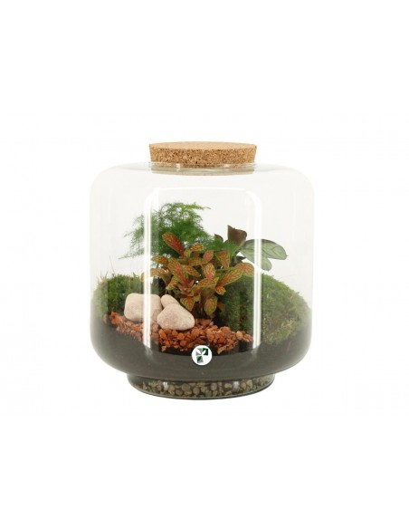 Terrarium cilindro L