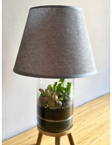 Lamparium | Terrarium con paralume