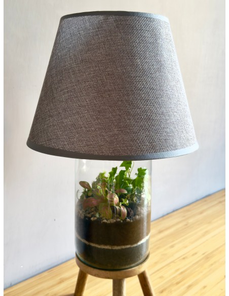 Lamparium | Terrarium con paralume