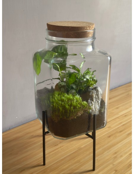 Terrarium Stand Block