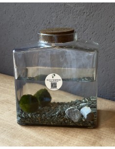 Marimo Block