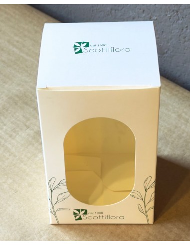 Piccolo Terrarium in vetro | Bomboniera...