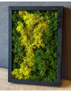 Quadro di muschio stabilizzato S